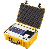 Весовой индикатор CAS RW-2601P