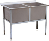 Ванна моечная ATESY ВМ-2/600 с бортом