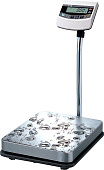 Весы напольные CAS BW-150RB